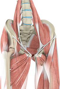 Muscle Strains